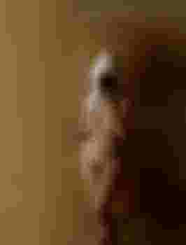 Златочка фото 2