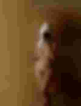 Златочка фото 2