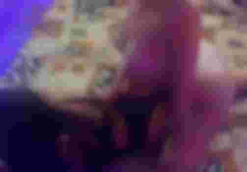 Марго и Ника фото 3