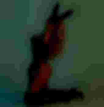 Вероника главное фото