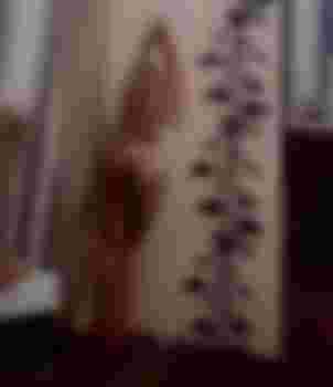 Вилена фото 5