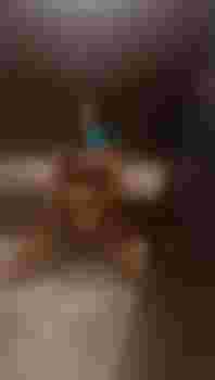 Нелли фото 3