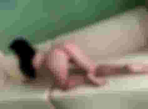 Лира главное фото