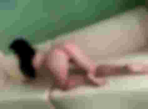 Лира главное фото