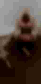 Олеся фото 2