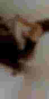 Олеся фото 7