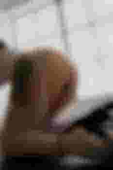 Алиса фото 4