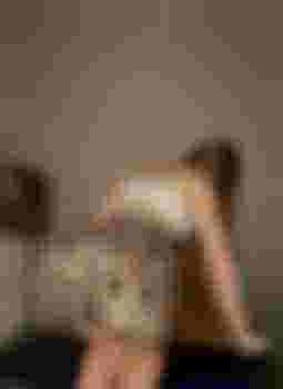 Стэлла фото 3