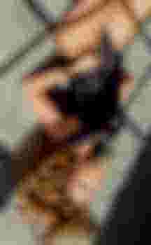 Саша главное фото