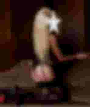 Света главное фото