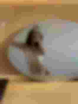 Эвелина фото 2