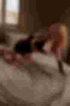 Кристина ТВОЙ ЛУЧШИЙ ОТСОС!! фото 11