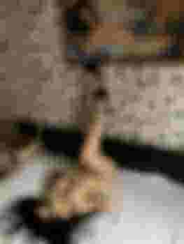 София главное фото