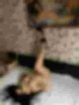 София главное фото