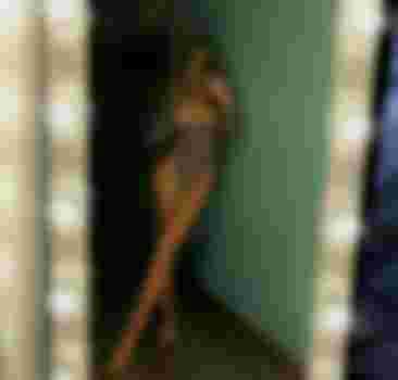 аня главное фото