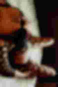 АЛЕНА+Массаж главное фото