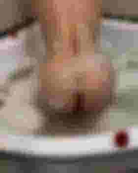 Марго фото 2