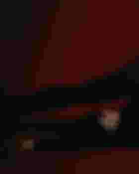 Лиза главное фото