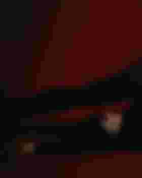 Лиза главное фото