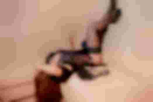 Влада фото 4