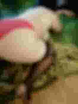 Полина+Анал фото 2