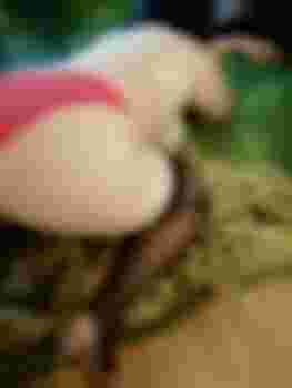 Полина+Анал фото 2