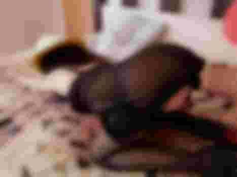 Венера фото 2