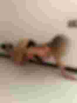 Кристина Блонди фото 3