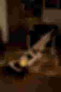 Елена фото 4