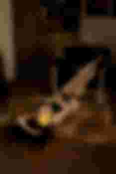 Елена фото 4