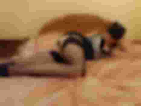 Катя Мурр фото 4