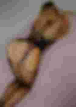 FantASStic фото 5