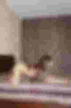 Камилла фото 3