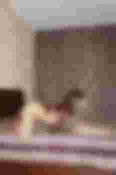 Камилла фото 3