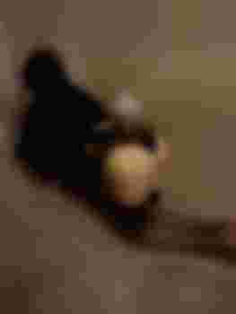 марина главное фото