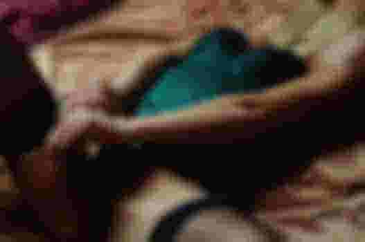 Виола фото 4