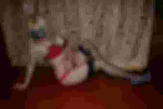 Настя главное фото