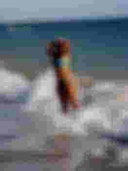 Полина главное фото