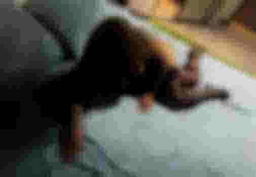 ВЕРА главное фото