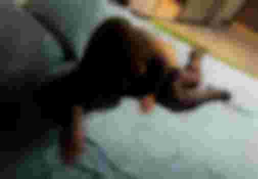 ВЕРА главное фото