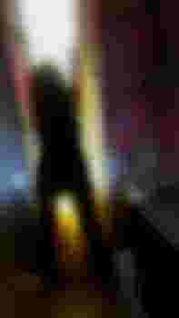 Лана р-н Виктории фото 9