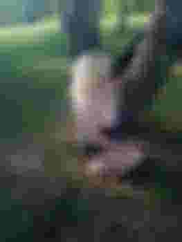 Виктория фото 3