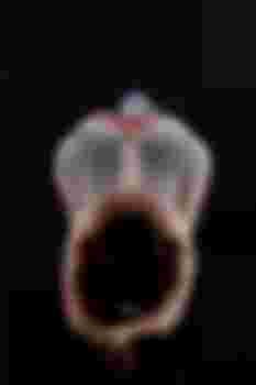 ЛЕНОЧКА главное фото