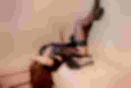 ВАЛЕРИЯ фото 7