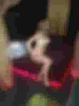 Валерия главное фото