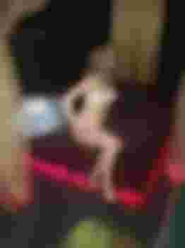 Валерия главное фото