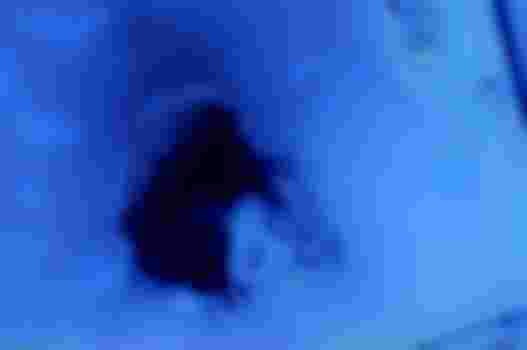 Транссексуалка-Кира фото 9