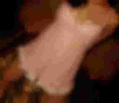 Лена главное фото