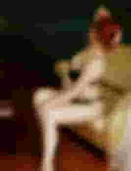 Елена главное фото