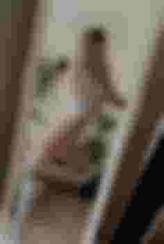 СТЕША главное фото